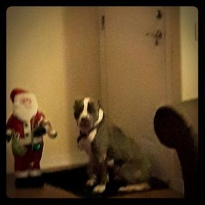 Meet your Posher, Tanya